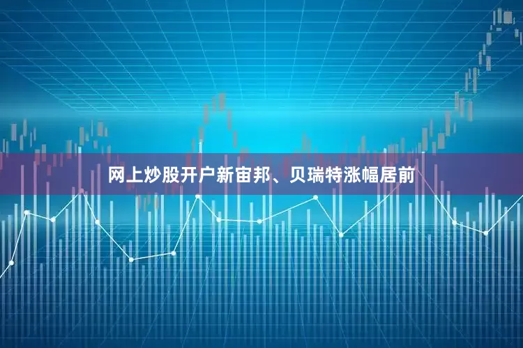 网上炒股开户新宙邦、贝瑞特涨幅居前